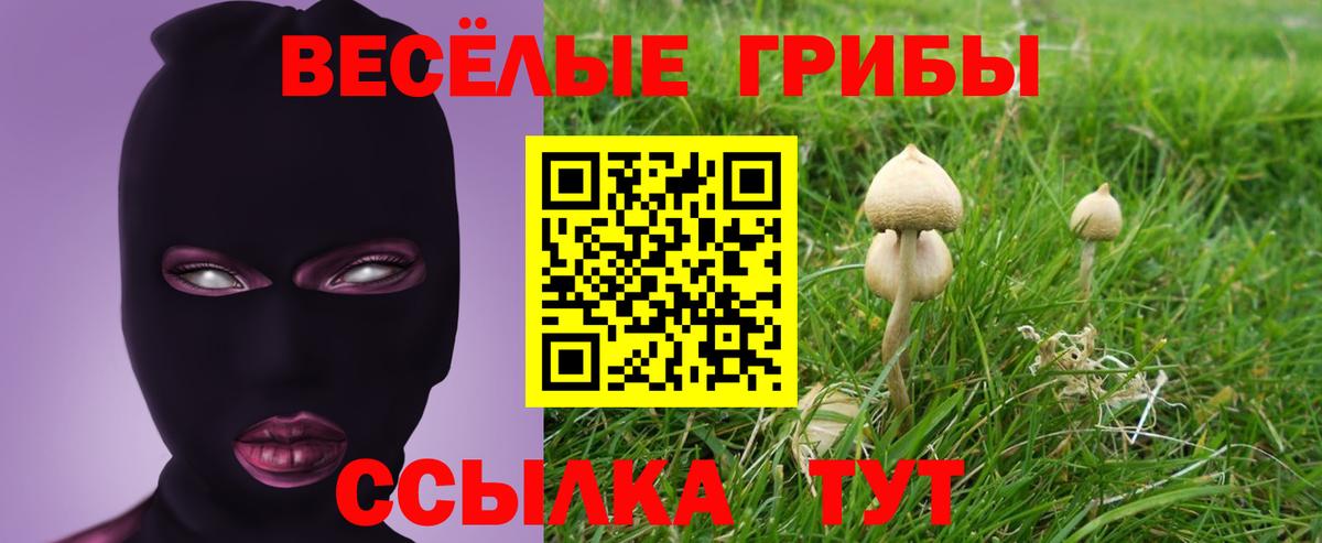 Галлюциногенные грибы Cubensis  Вход с VPN  Ангарск 